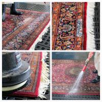 Oriental Rug Cleaning Plant image 3